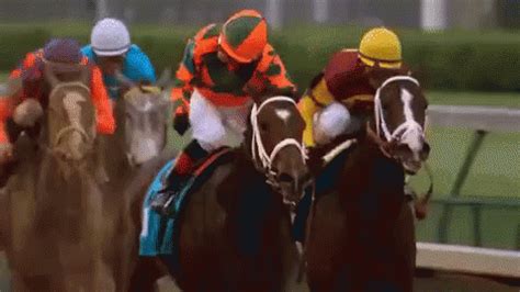 horse racing gif funny|Funny Horse Racing GIFs .